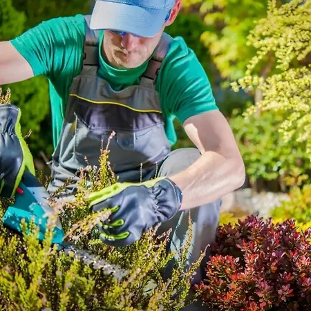 Splendid Star Tenerife Jacuzzi Pool 빌라 *