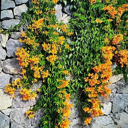 Splendid Star Tenerife Jacuzzi Pool 빌라