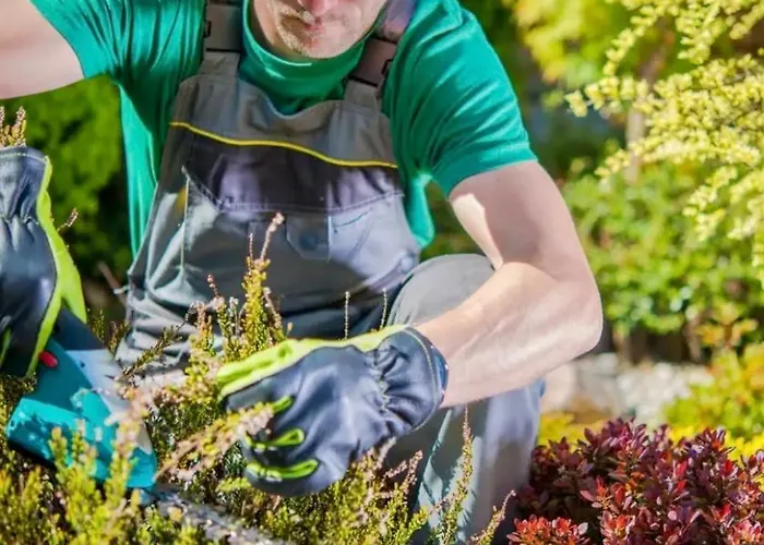 Splendid Star Tenerife Jacuzzi Pool Villa *